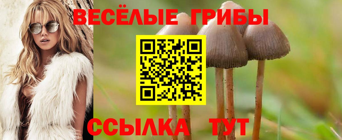Псилоцибиновые грибы ЛСД  Вход с VPN  сколько стоит  Трёхгорный 